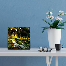 Load image into Gallery viewer, Morning Light Original Handmade Acrylic Painting In Context-NeneArts
