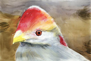 Red Crested Turaco Bird Painting - NeneArts