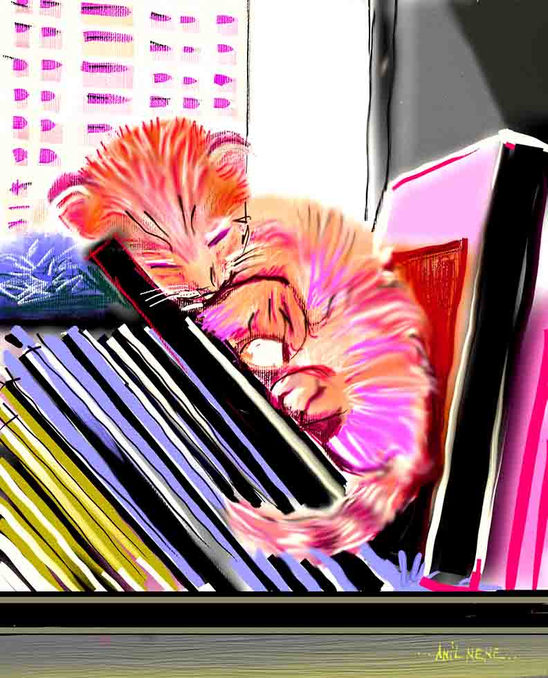 Sleeping Cat Digital Art For Sale-NeneArts